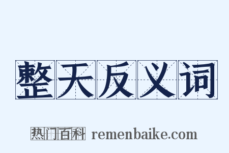 整天反义词是什么意思的图片